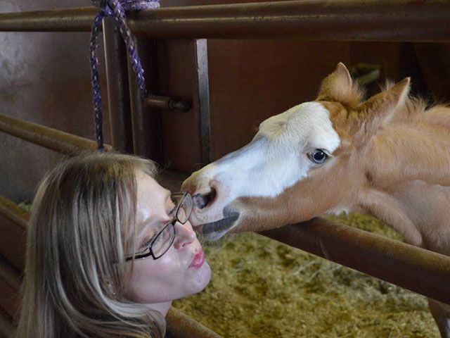 Embark on a North Texas Horse Country Tour to explore a region that has one of the greatest concentrations of horse farms in the world.