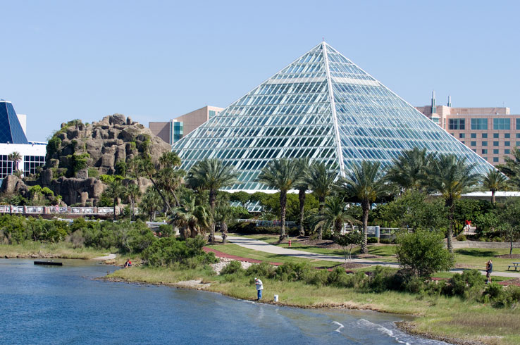 Moody Gardens is a ecological attraction in Galveston that showcases exotic animals from around the world. 