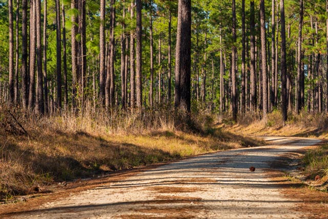 holiday travel lufkin