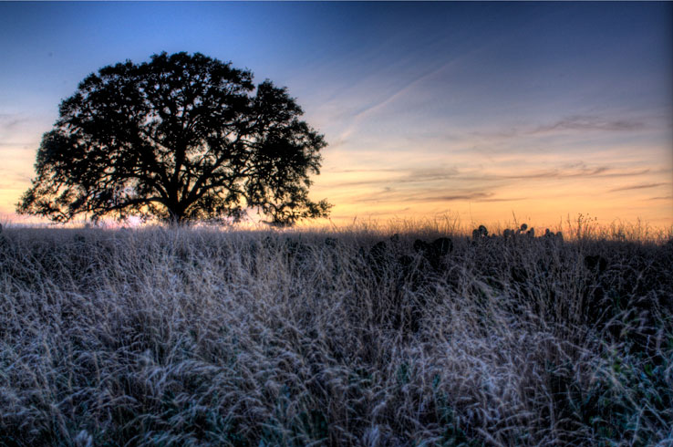 Beautiful sunsets and scenic views are exactly what you'll enjoy at a dude ranch in Bandera.