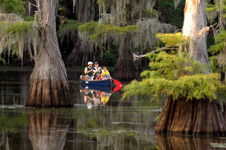 Paddle along the still waters between aged cypress trees at Caddo Lake State Park.