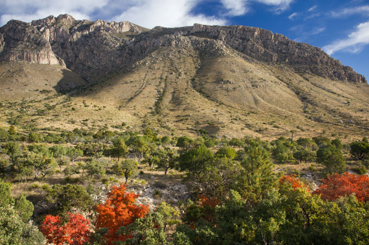 A stunning view of Guadalupe Mountains National Park.