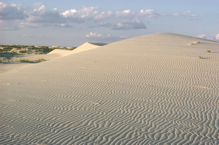 The rolling dunes at Monahans Sandhills State Park provide a view unlike any other in Texas.