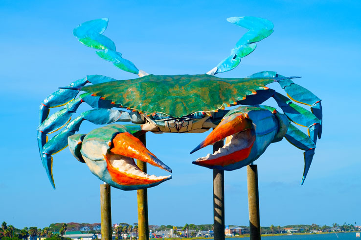 Visit Rockport Beach and you'll encounter Big Blue Crab.