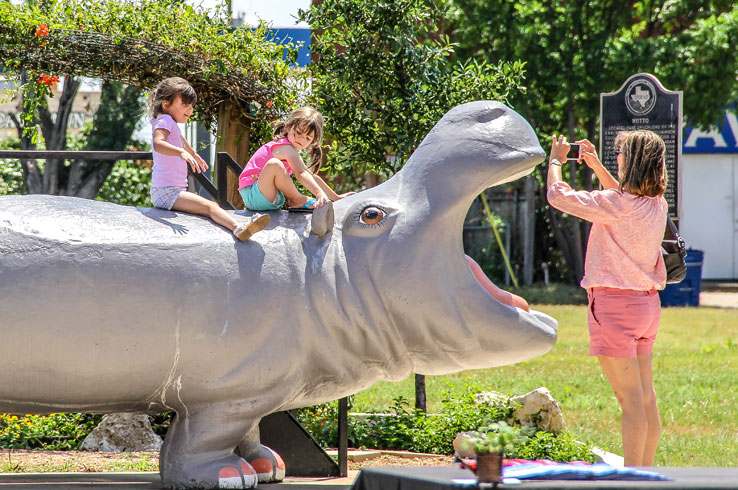 Henrietta is just one of many hippos in Hutto, the Hippo Capital of Texas.