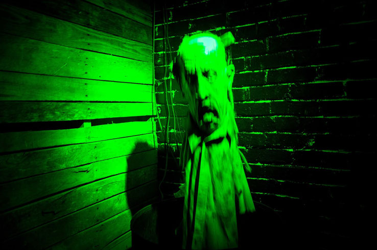 The Haunted Landmark in Greenville is a seasonal haunted house located in the basement of the town's old post office building.