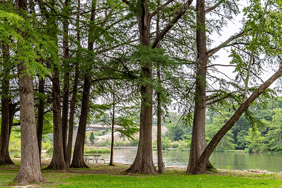 Kerrville-Schreiner Park