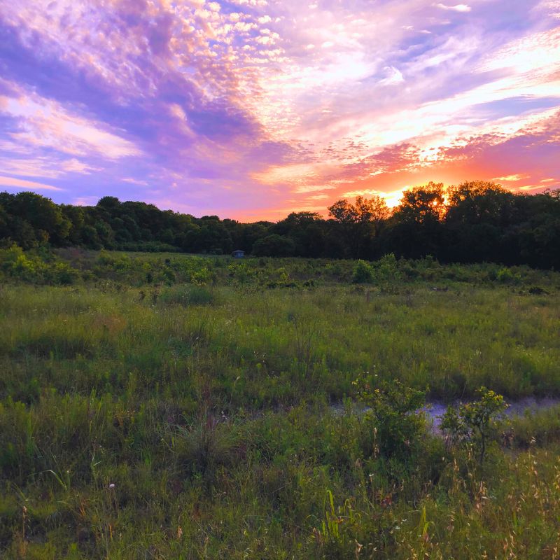 Heard Natural Science Museum and Wildlife Sanctuary