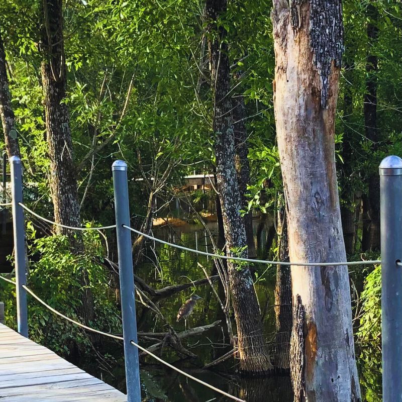 Heard Natural Science Museum and Wildlife Sanctuary