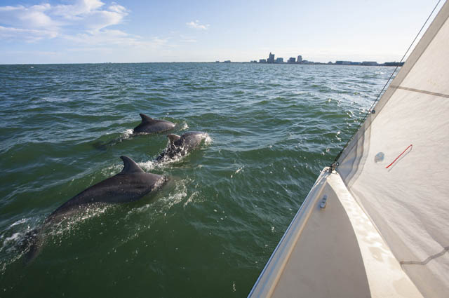 Waves Resort in Corpus Christi
