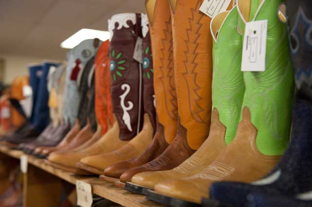 Texas Tropical Trail Region