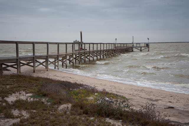Texas Tropical Trail Region