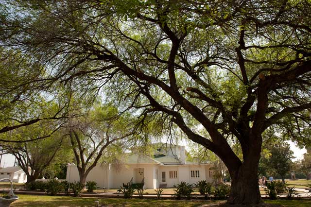 Texas Tropical Trail Region