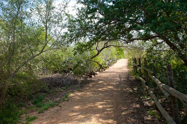 Texas Tropical Trail Region