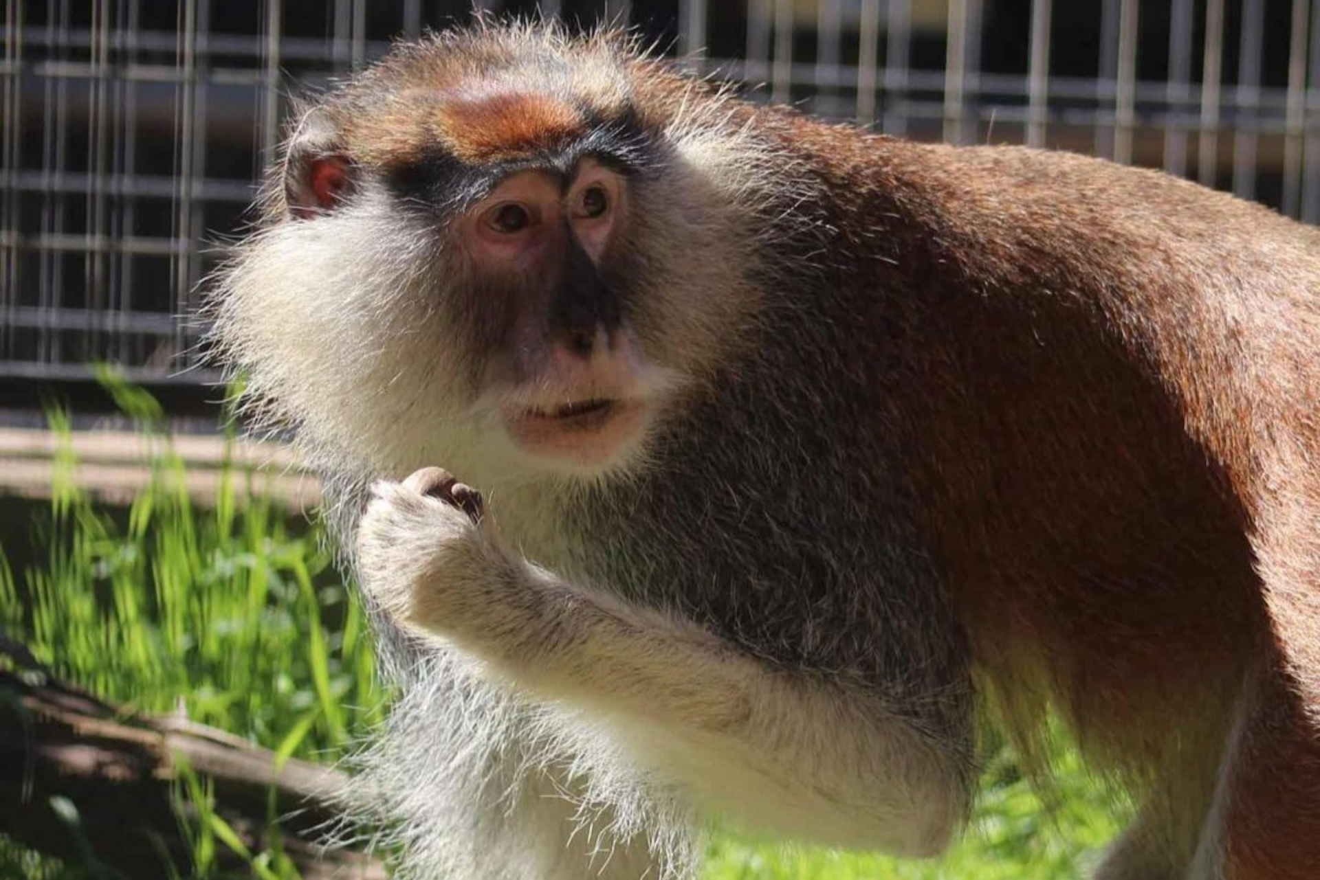 Austin Zoo