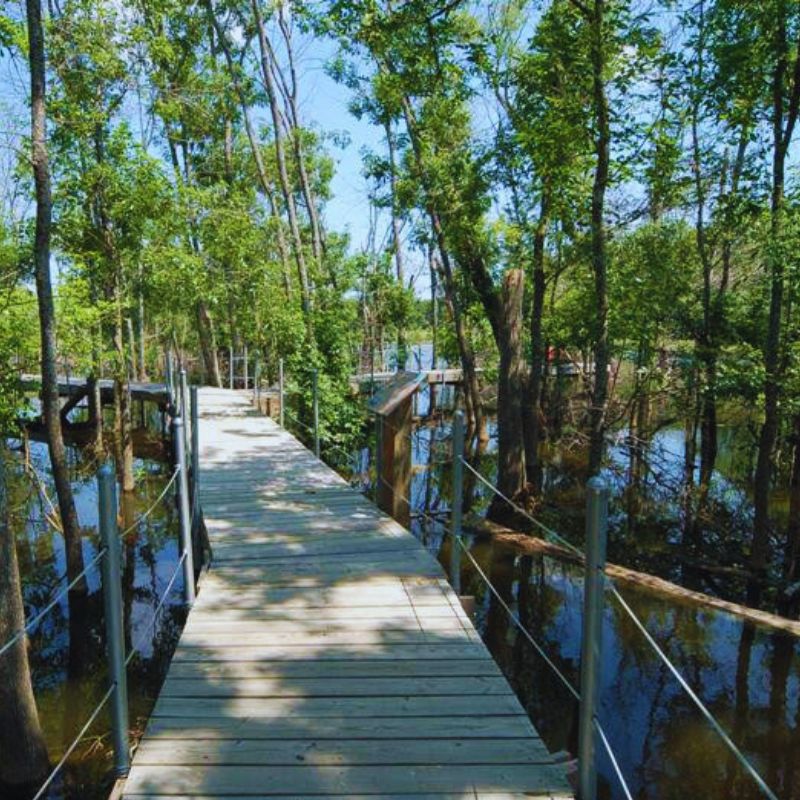 Heard Natural Science Museum and Wildlife Sanctuary