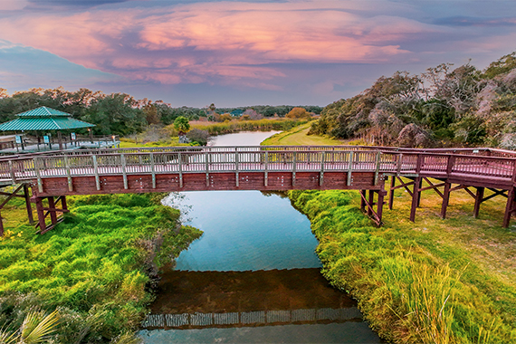 Aransas Pathways