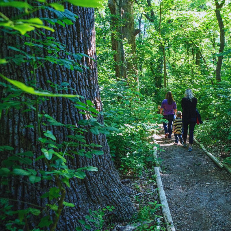 Heard Natural Science Museum and Wildlife Sanctuary