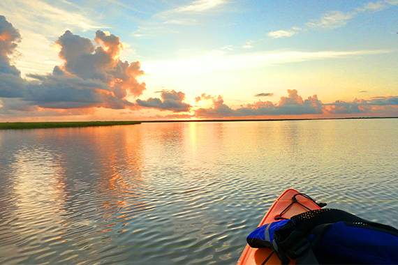 Aransas Pathways