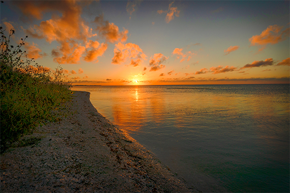 Aransas Pathways