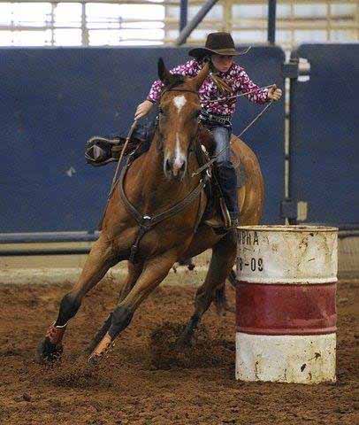 Abilene Rodeo Horses