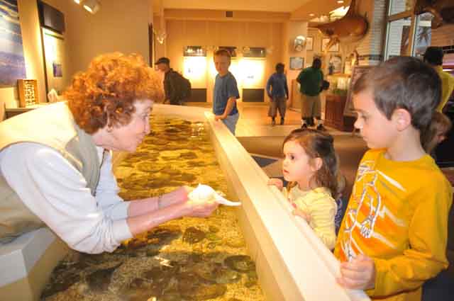 Angleton Sea Center