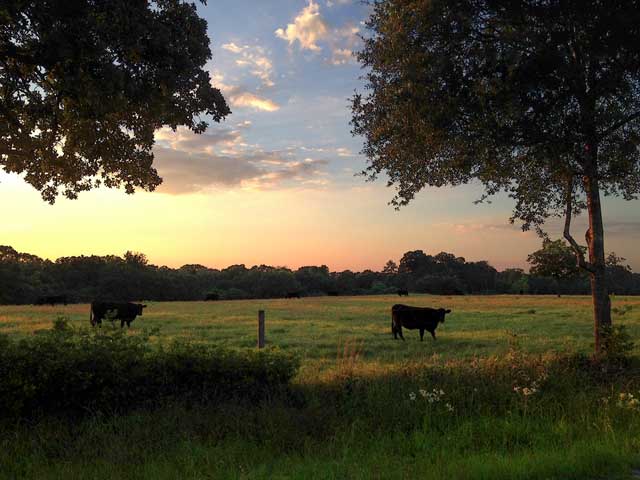 Austin County, Texas