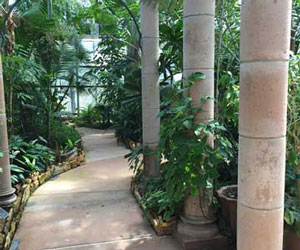 Beaumont Botanical Gardens