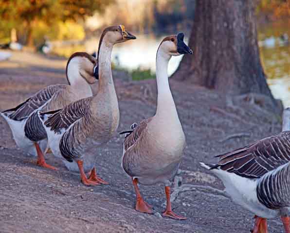 Visit Boerne