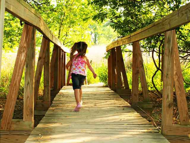 cibolo nature center