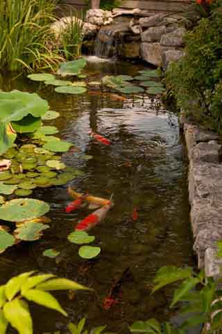 Visit Boerne