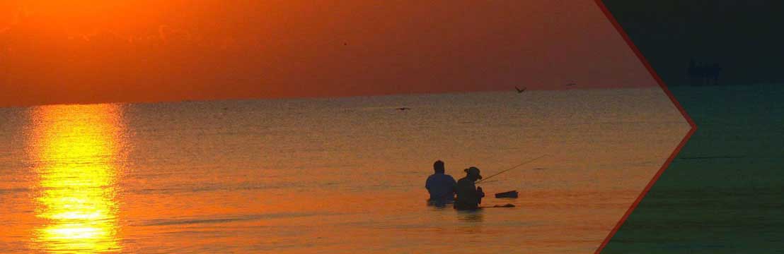 bolivar peninsula tours