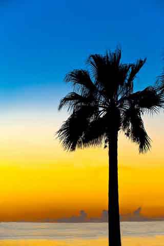 Brownsville, Texas