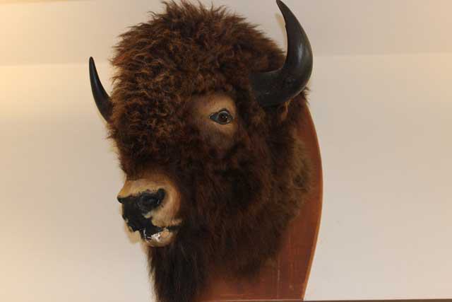 Buffalo Soldiers National Museum