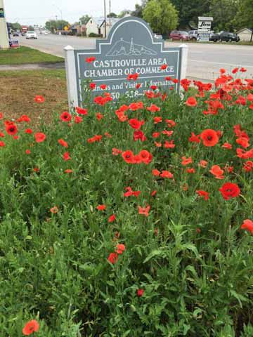 Castroville, Texas