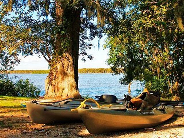 Chambers Wild, Texas