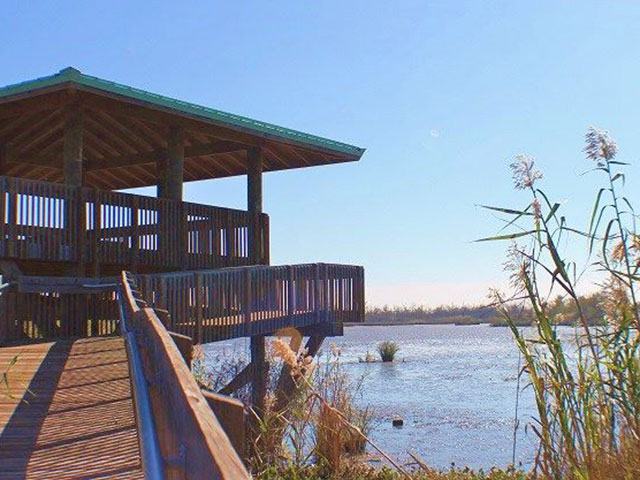 Chambers Wild, Texas