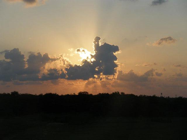 Chambers Wild, Texas