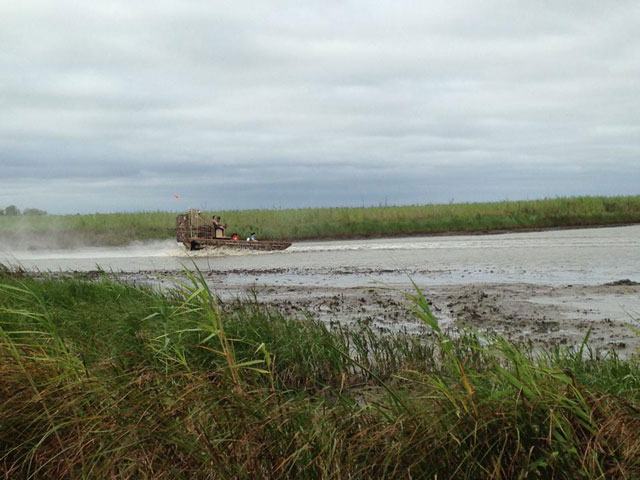 Chambers Wild, Texas