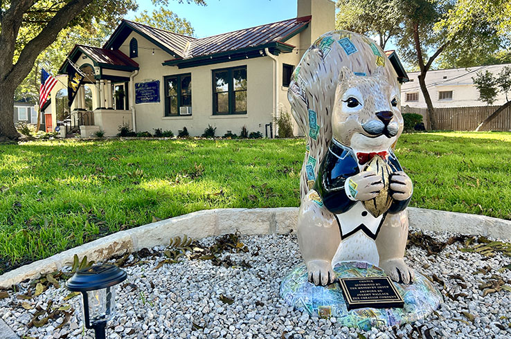seguin squirrel