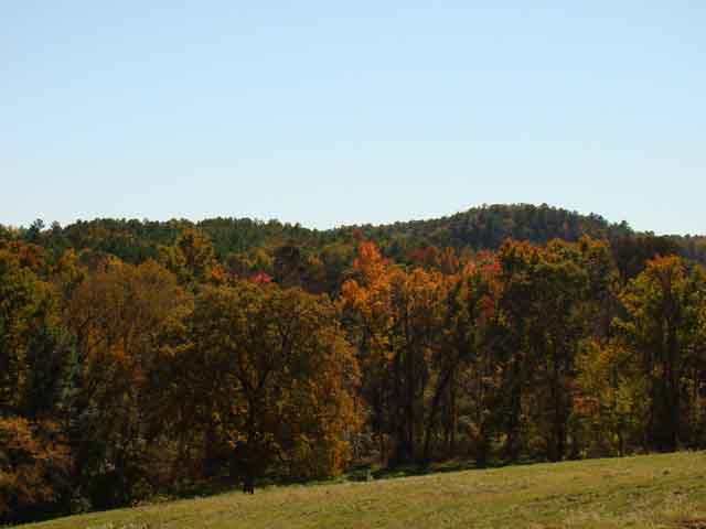 Athens, Texas