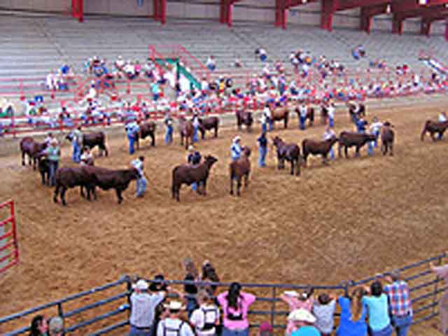 Athens, Texas