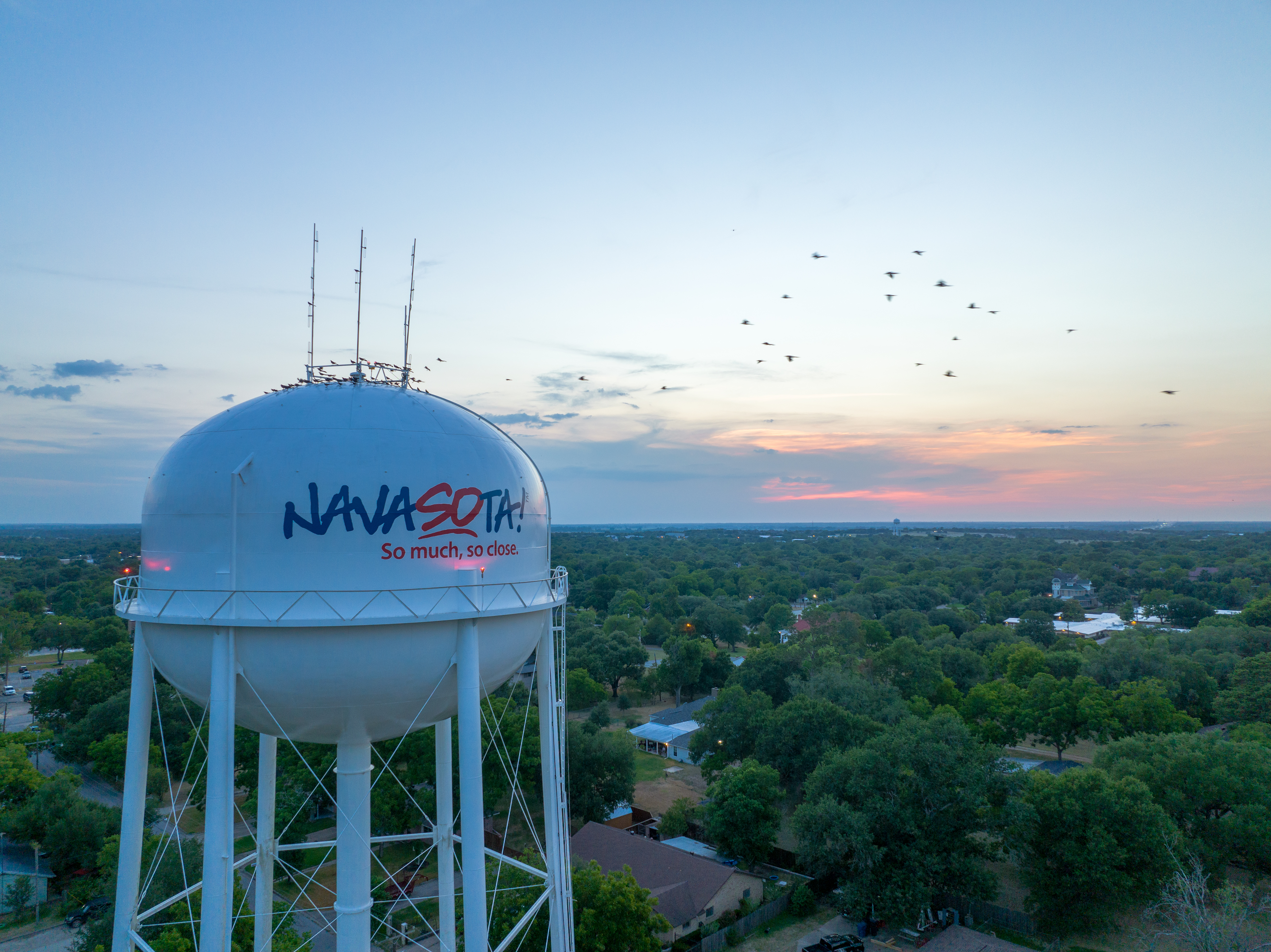 navasota