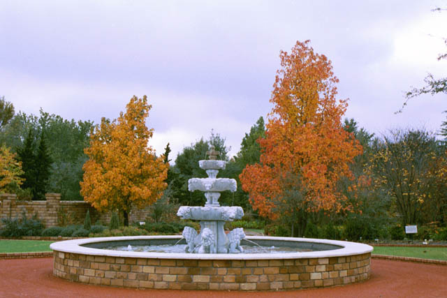 Clark Gardens Botanical Park