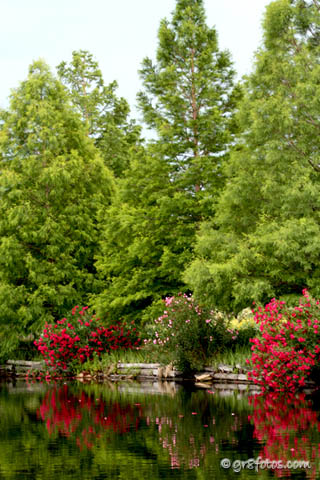 Clark Gardens Botanical Park