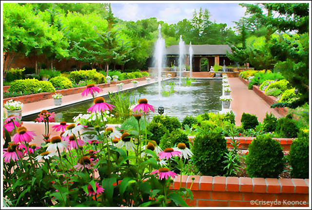Clark Gardens Botanical Park