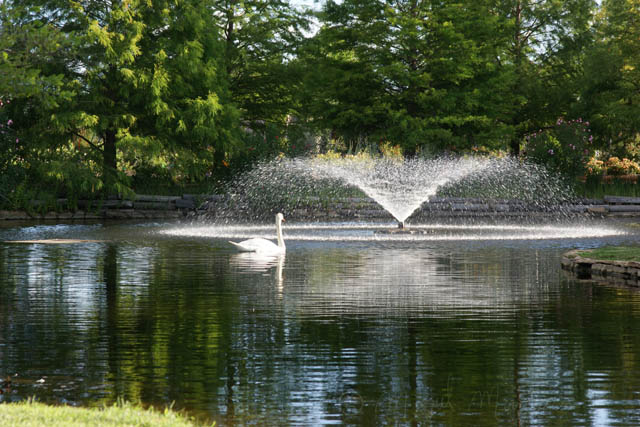 Clark Gardens Botanical Park