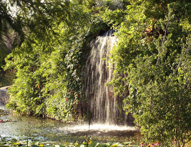 Clark Gardens Botanical Park