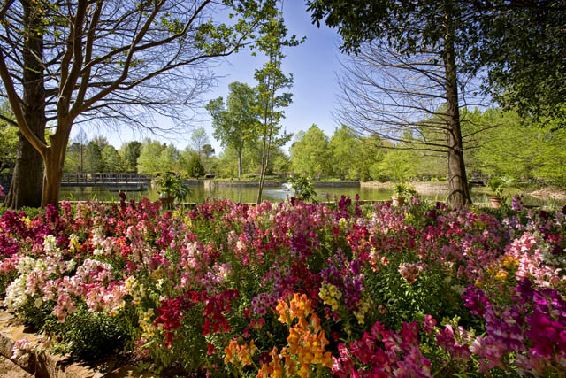 Clark Gardens Botanical Park