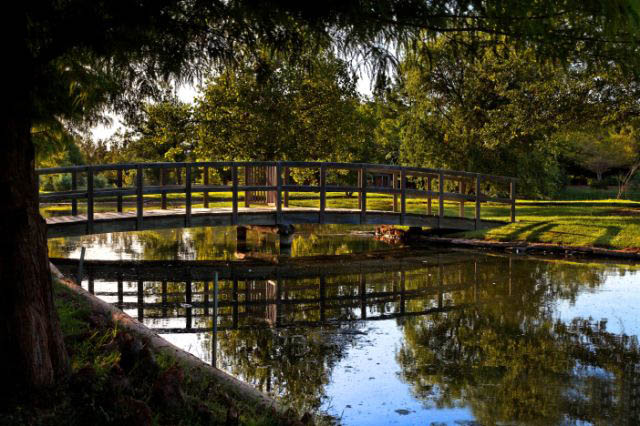 Clark Gardens Botanical Park